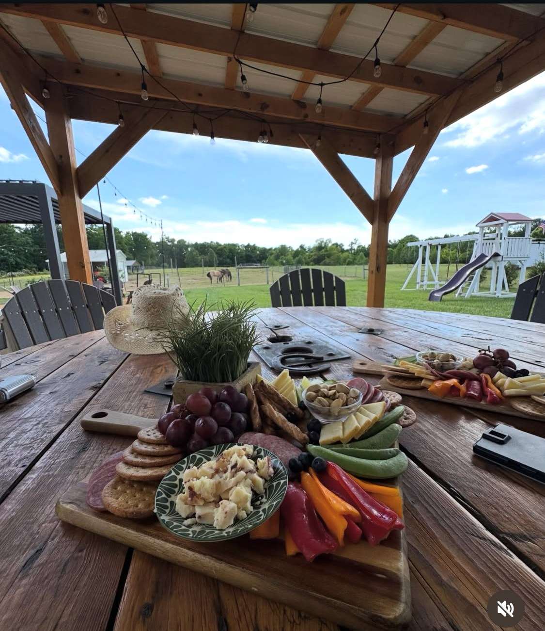 Charcuterie table with pasture view